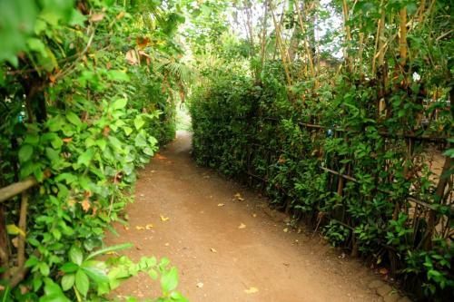 Hostal Sai Sneh Holidays Cottage
