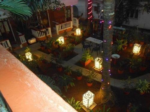 Bed & Breakfast Tropicano Beach Resort