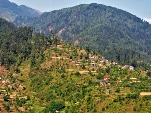 Great Himalayan Adventure Camping, Jibhi