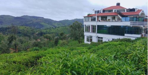 Hotel Great Windows Resorts