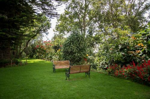 Bed & Breakfast Fairy Glen