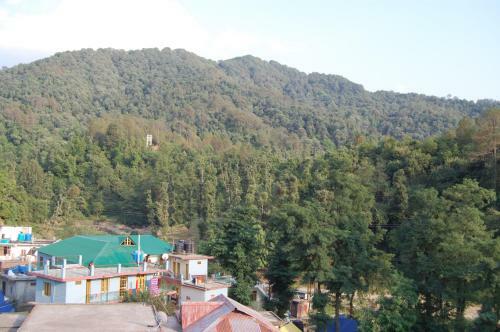 Hotel City Forest