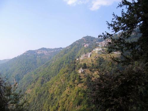 Himalayan Camping