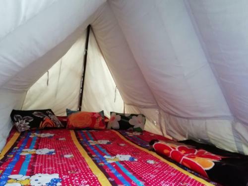Himalayan Camping