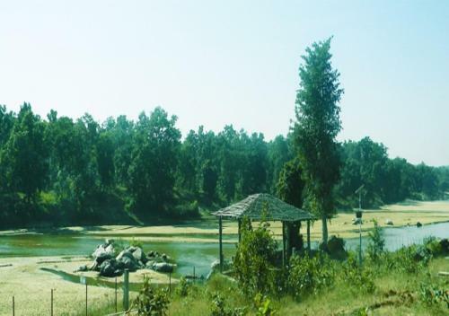 Hotel Mpt Baghira Jungle Resort Mocha