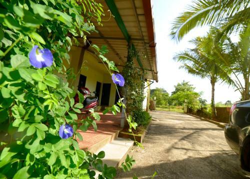 Hostal Green Field