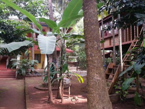 O'nest Luxury Home Stay
