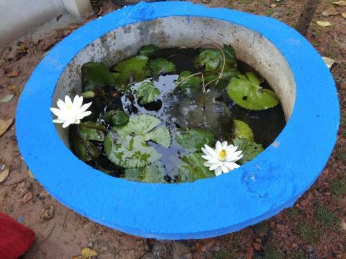 Arivaram Homestay