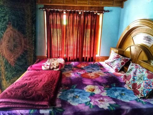 Backpacker's Nest