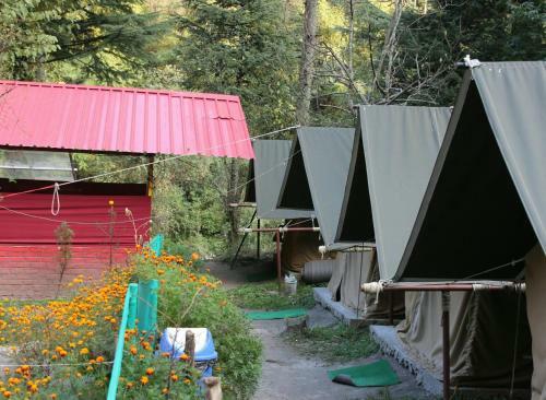 Camp The Parvati River Bank