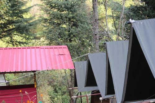 Camp The Parvati River Bank