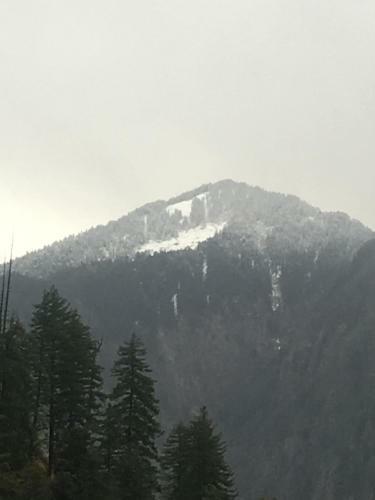 Bed & Breakfast Snow View Guest House