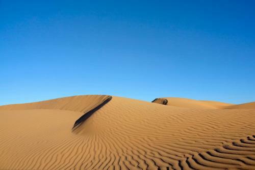 Bed & Breakfast Bivouac La Dune Blanche