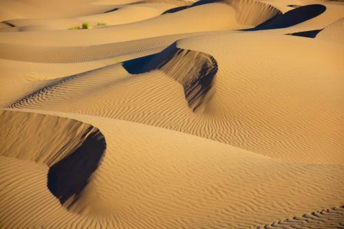Bed & Breakfast Bivouac La Dune Blanche