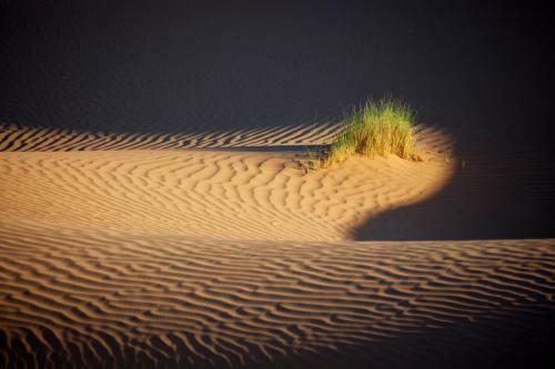 Bed & Breakfast Bivouac La Dune Blanche