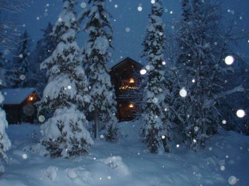 Lodge Yll�shilla Cottage
