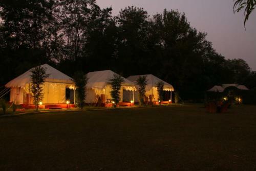 Hotel Jungle View Resort Ranthambhore