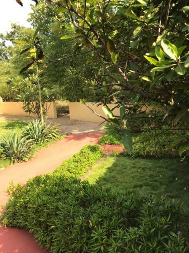 Hotel Baaz Jungle Resort