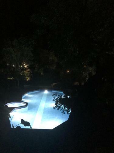 Hotel Baaz Jungle Resort