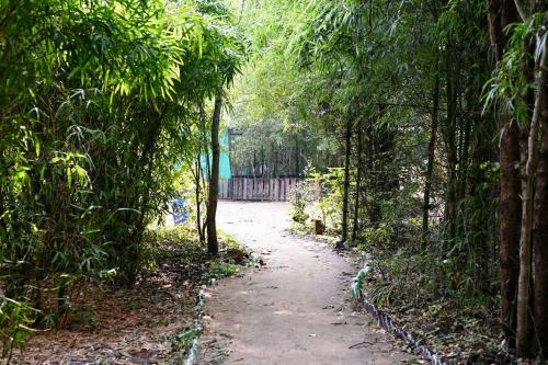 Hotel Tiger N Woods Resort