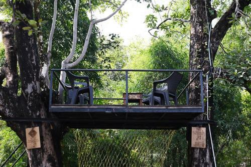 Hotel Tiger N Woods Resort