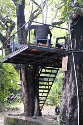 Hotel Tiger N Woods Resort
