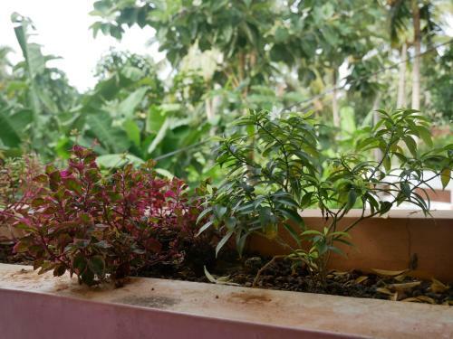 Apartamento Padmini House