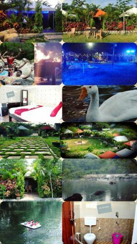 Coorg Adventures Tent Stay And Spa