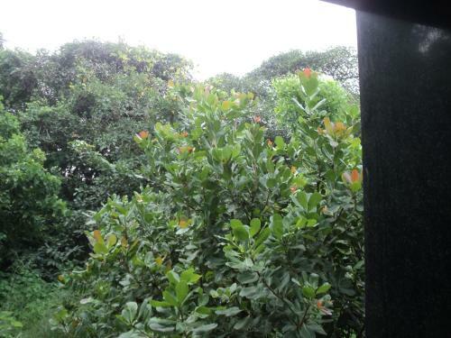 Hostal Shubhankar Homestay