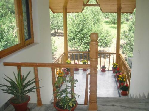 Venus Villa Cottage