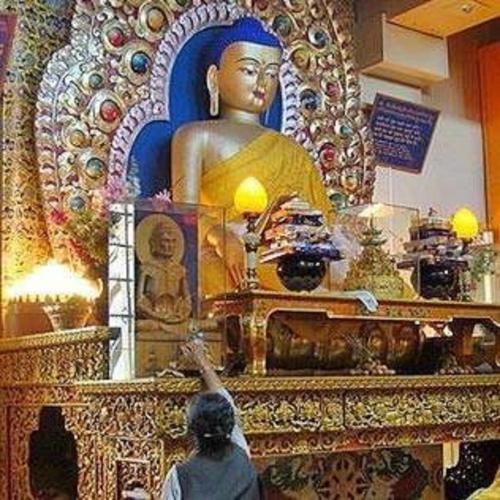 Hotel Shiva Sanctuary