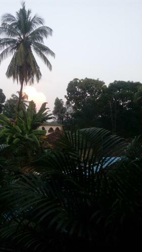 Hotel Konkan Villa Dream