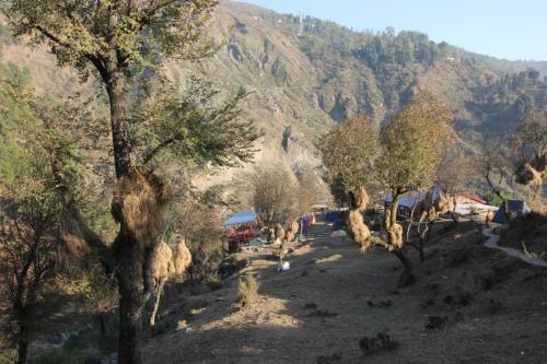 Triund Camps Riverside Resort