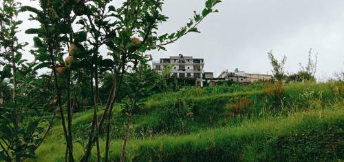 Lord Krishna Himalayan Hotel And Restaurant
