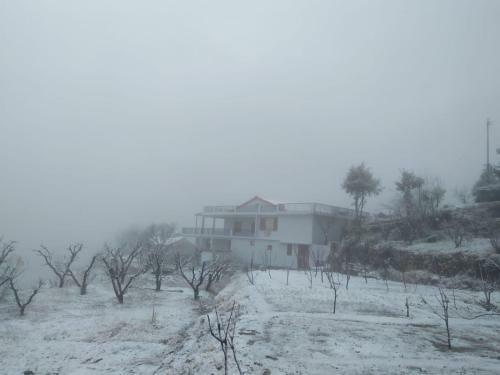 Bed & Breakfast Enchanted Hills