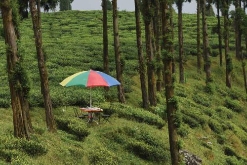 Hotel Sourenee Tea Estate
