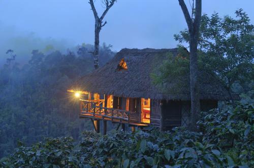 Aranyakam Homestay