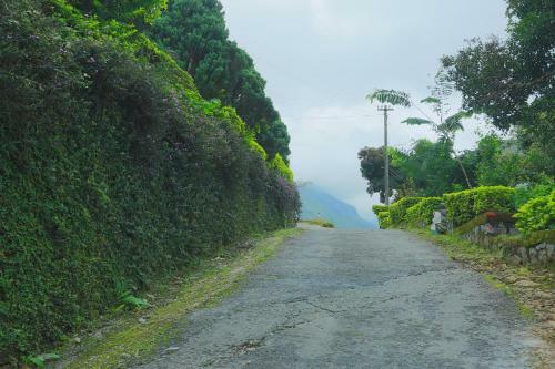 Hotel The Cliff Resort, Munnar