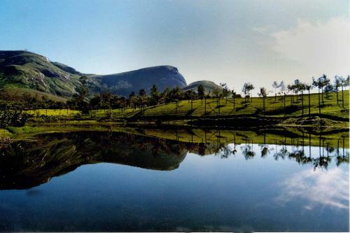 Spice Valley Home Stay Munnar