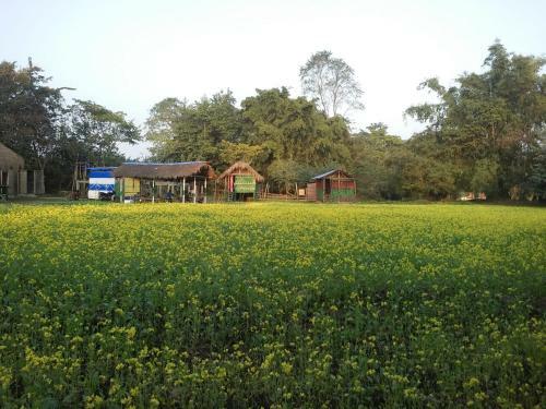 La Lolat Eco Camp