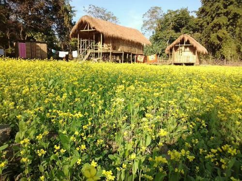 La Lolat Eco Camp