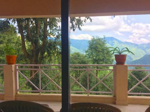 Bed & Breakfast Seclude Arthouse
