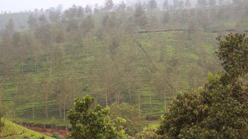 Posada Shanmuga Residency - Vagamon / Elappara