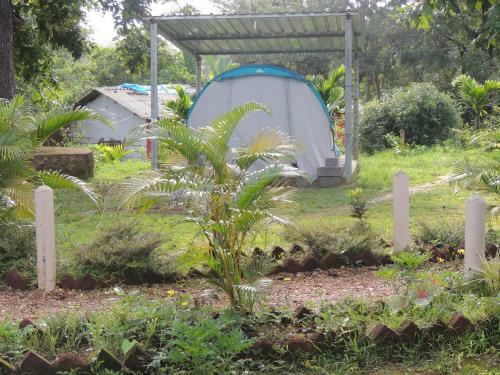 Dandeli - Jungle Nest