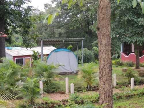 Dandeli - Jungle Nest