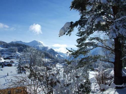 Bed & Breakfast Pension Chalet Berkana