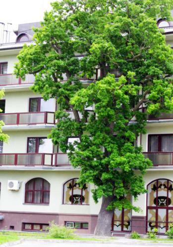 Hotel Baltiyskaya Korona