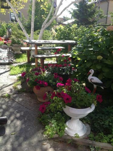 Hostal U Bashni Guest House