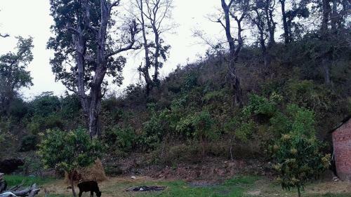 Apartamento Ramnagar-jungle Edge Home