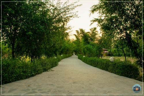 Hotel Aura Corbett Resort